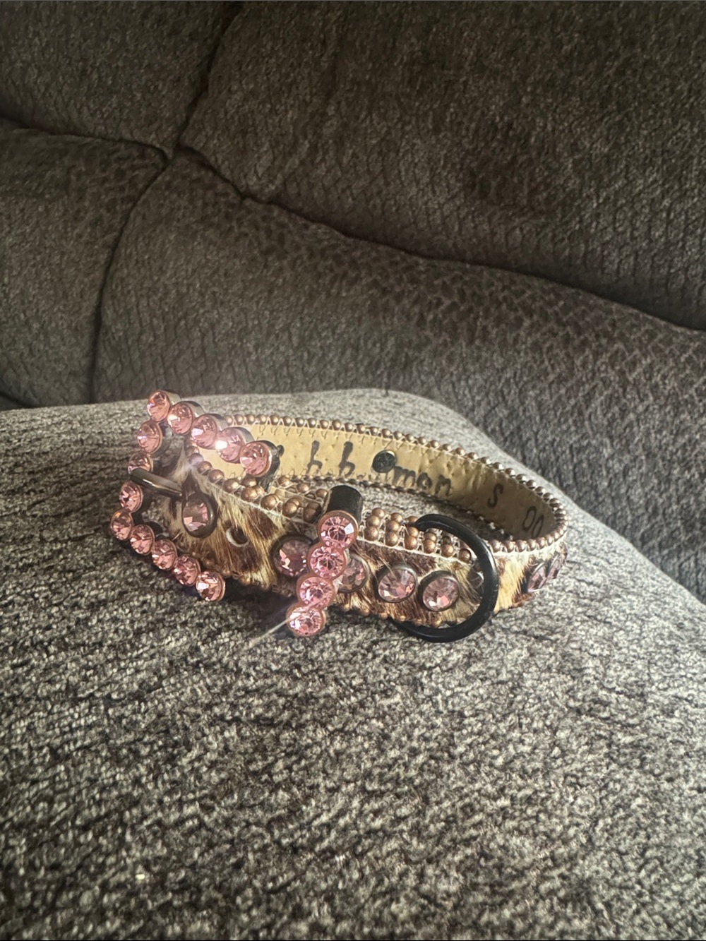 b.b. Simon dog collar